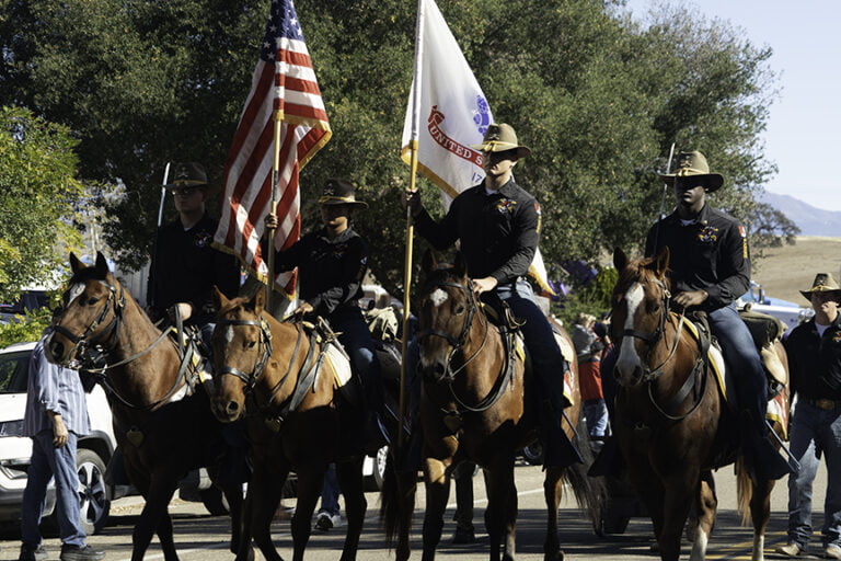horses